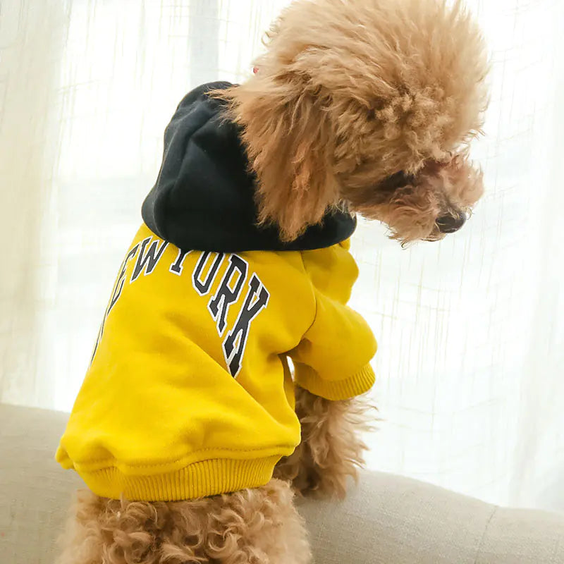 Casual Hooded Sweatshirt for Pets in Terry Cotton