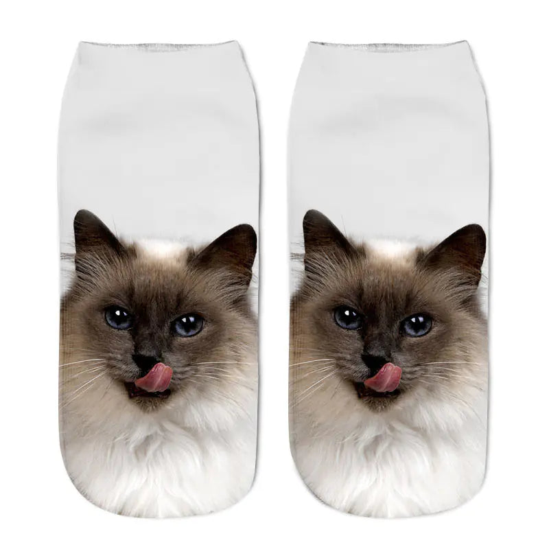 Cat Print Socks - Unique Design Socks
