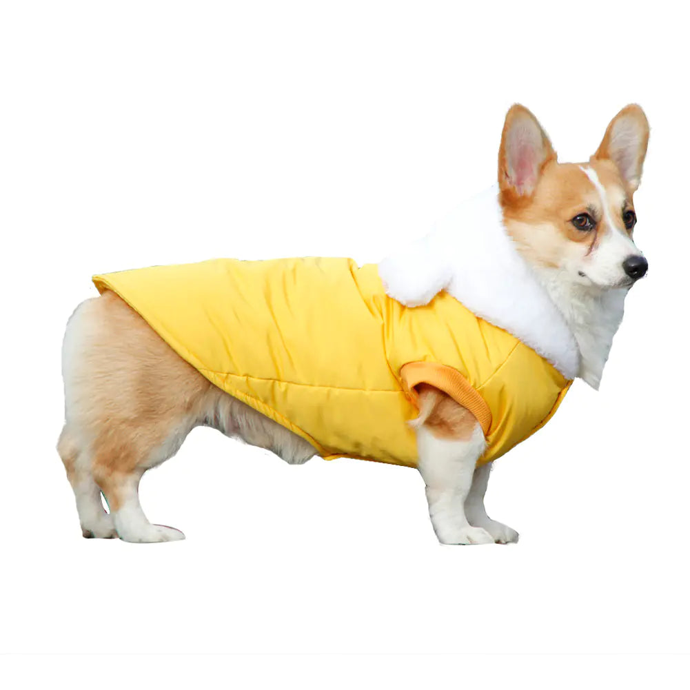 Cute Hooded Cotton Clothes for Pets in Winter