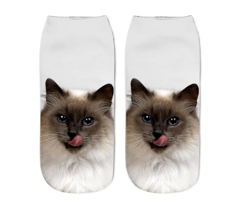 Cat Print Socks - Unique Design Socks