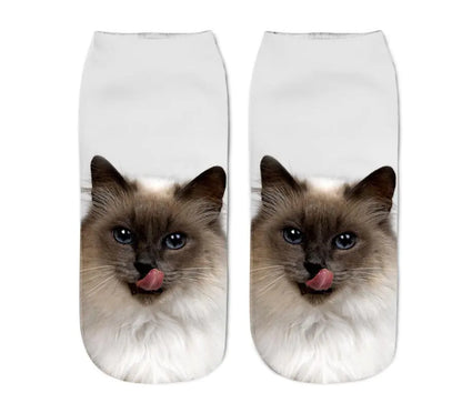 Cat Print Socks - Unique Design Socks