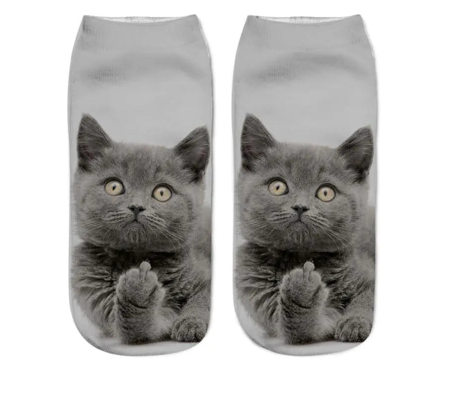 Cat Print Socks - Unique Design Socks