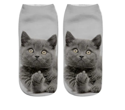Cat Print Socks - Unique Design Socks